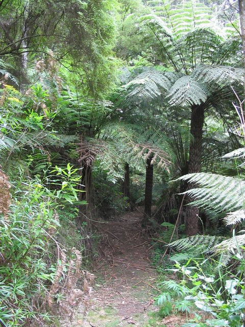 Glenaire Cottages - Hobart Tourism 3