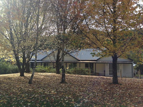 Goldberryaccommodation - Tourism TAS 0