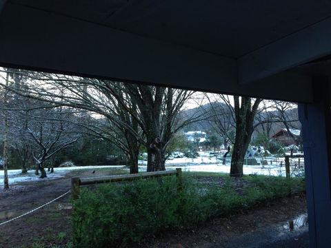 Goldberryaccommodation - Tourism TAS 3