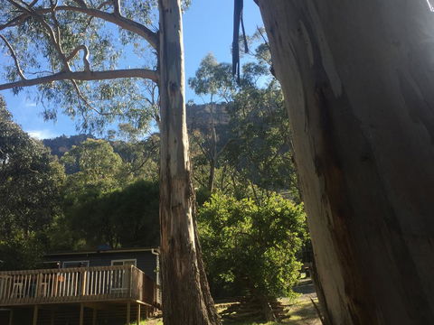Grampians Nest - Tourism TAS 0