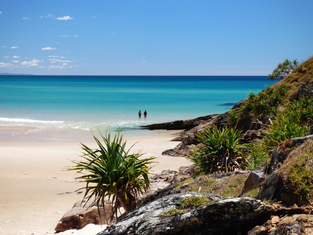 Hacks Ferry NSW Tourism TAS