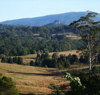 Grey Gum Lodge - Hobart Tourism