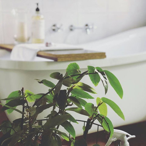 Ground Level Heygarth House Residence - Hobart Tourism 3