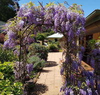 Gumtree House Montville - Hobart Tourism