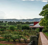 Hanging Tree Wines - Hobart Tourism