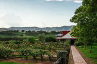Book Pokolbin Accommodation Vacations Hobart Tourism Hobart Tourism