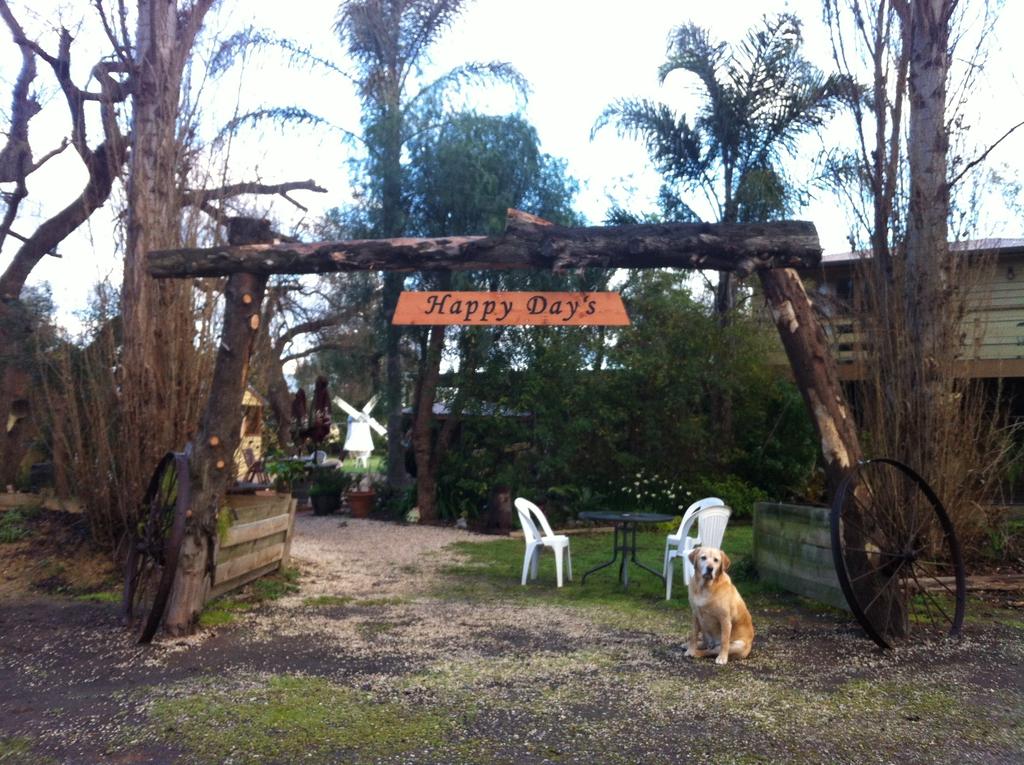 Tonghi Creek VIC Hobart Tourism