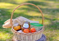 Book Wattamolla Accommodation Vacations Tourism TAS Tourism TAS