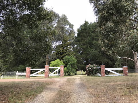 Helen's Luxury Hut - Tourism TAS 3