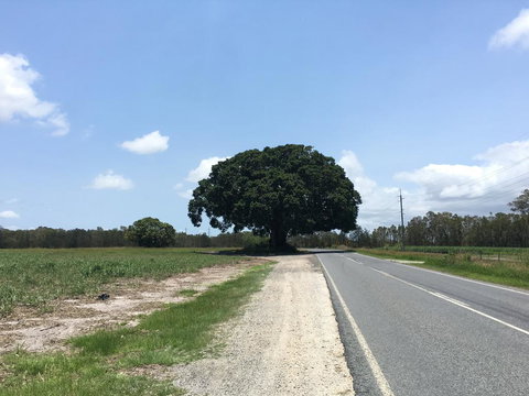 Jacobbs Well - Tourism TAS 1