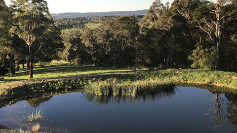 JAN'S ART STUDIO AT ASHBY RISE - Tourism TAS 1
