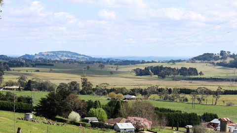 JAN'S ART STUDIO AT ASHBY RISE - Tourism TAS 2