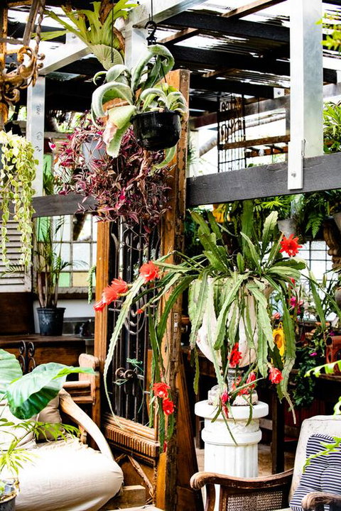 Jaspers Apartments - Tourism TAS 3