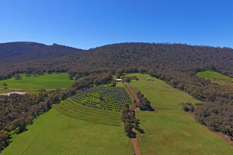Jilba - Hobart Tourism 1