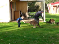 Book Kalgan Accommodation Vacations Tourism TAS Tourism TAS