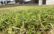 Karoonda Accommodation - thumb 0