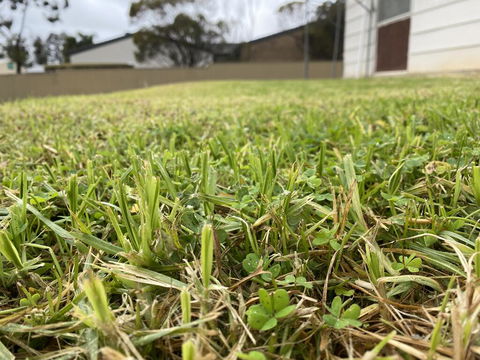 Karoonda Accommodation - Hobart Tourism 0
