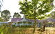 Karri House. Eat - Stay - Love - thumb 0