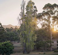 Karribank and the Karri On Bar - Hobart Tourism