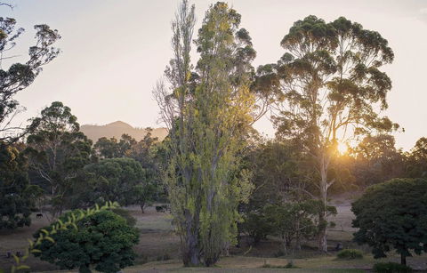 Karribank And The Karri On Bar - Hobart Tourism 0