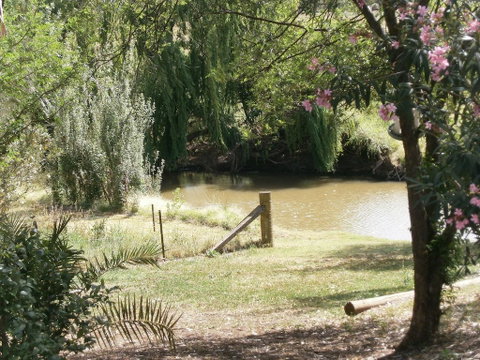 Kellys Motel Oakey - Tourism TAS 1