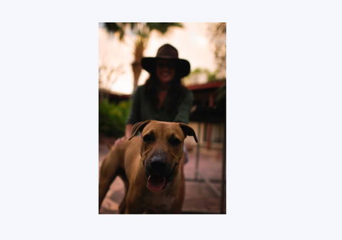 Kimberley Croc Motel - Tourism TAS 1