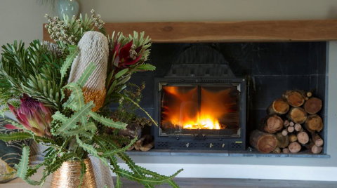 KOALA GULLY - Tourism TAS 0