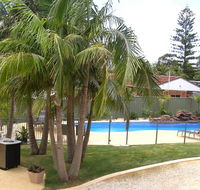 Koala Tree Motel - Hobart Tourism
