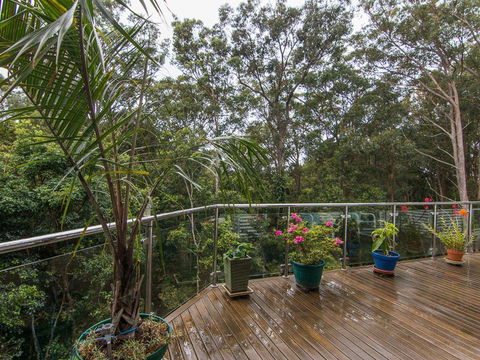 Kookaburras @ Smiths - Tourism TAS 3