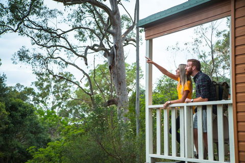 Lane Cove Holiday Park - Tourism TAS 1