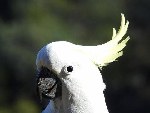 Launceston Wildlife Retreat - Tourism TAS 1