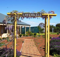 Lavendale Farmstay and Cottages York - Hobart Tourism