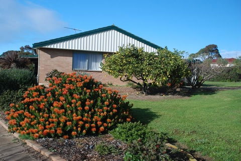 Lemontree Cottage - Hobart Tourism 0