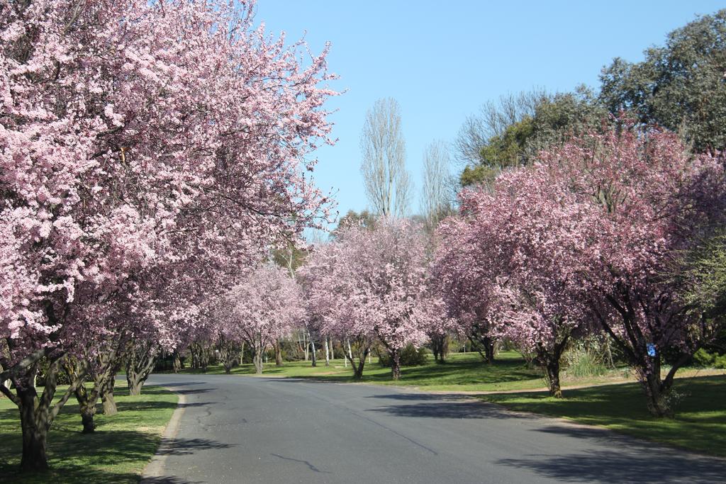 Kelso NSW Tourism TAS