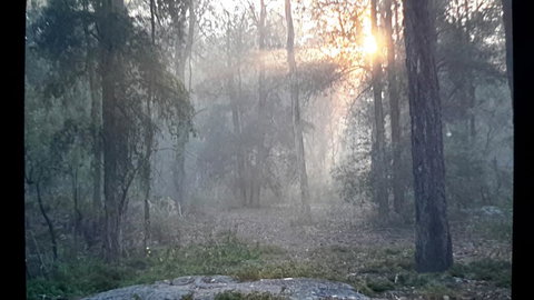 Lucky Mountain Cottage - Tourism TAS 1