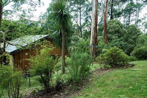 Luxury Forest Retreat - Puffing Billy - Tourism TAS 2