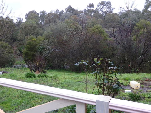 Mandall Avenue - Hobart Tourism 1