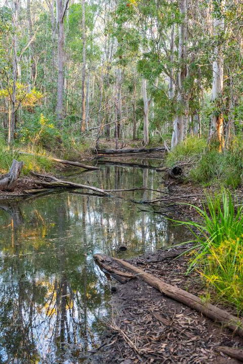 Mango Lodge At River Heads - Tourism TAS 3