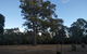 Margaret House - thumb 1