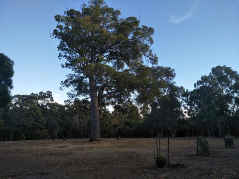 Margaret House - Hobart Tourism 1