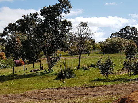 Margies Place - Tourism TAS 1