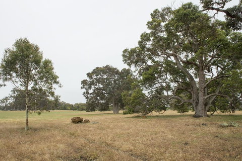 Metricup House - Elegant Country Retreat - Tourism TAS 2