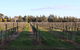 Milawa Vineyard Views - Guesthouse 1 - thumb 1