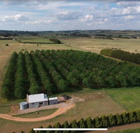 Millthorpe Truffles - Gorgeous getaway for 2 - Hobart Tourism