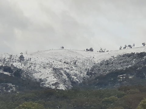 Mimirosa Bush Cabin - Hobart Tourism 1