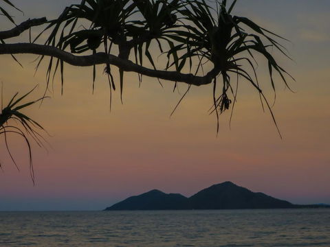 Mission Beach Hideaway Holiday Village - Hobart Tourism 1