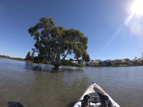 Moreton Bay Beach Lodge - Hobart Tourism 1