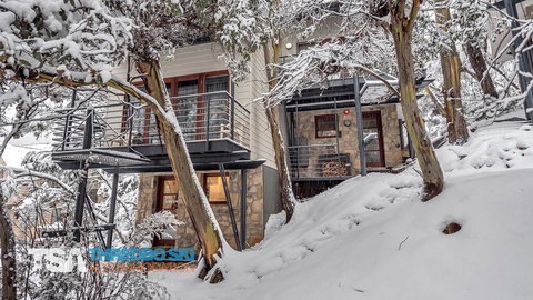 Mosswood 1 - Hobart Tourism 1