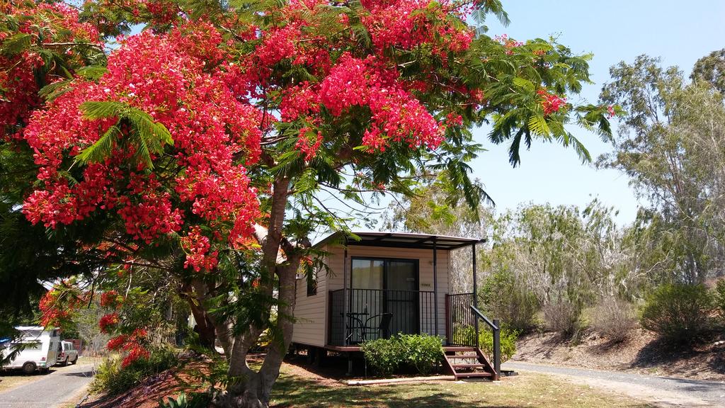 Ambrose QLD Tourism TAS