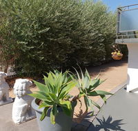 Mt.Lawley superb 2 BR Apartment Ideally located 5 - Hobart Tourism